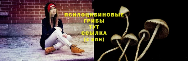 ECSTASY Алзамай