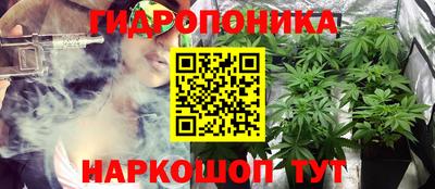 каннабис Новодвинск
