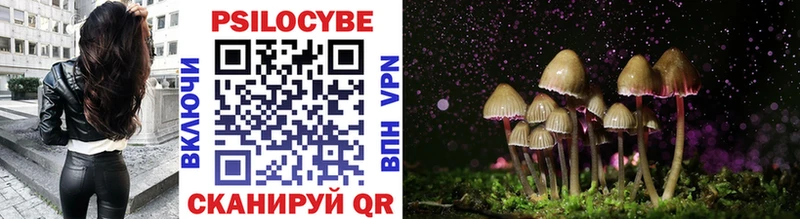 Псилоцибиновые грибы Psilocybine cubensis  OMG зеркало  Сарапул 
