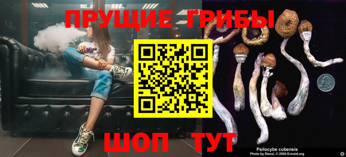 Псилоцибиновые грибы GOLDEN TEACHER Сарапул
